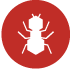 Ant Insect Protection from Ants Insect